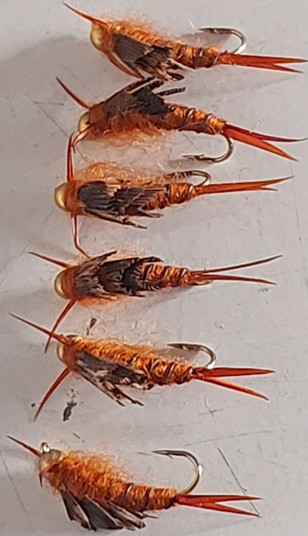 BH Brown Caveman Stonefly