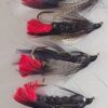 Craigs Black Night Time Size 4 6